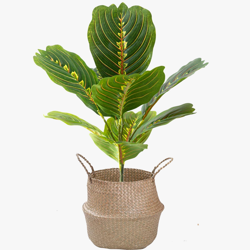 plantes-artificielles-branche-faux-ficus-en-caoutchouc-pour-d-coration-int-rieure-5.png