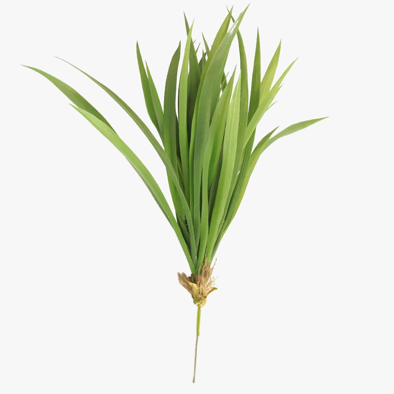 plantes-artificielles-chlorophytum-pour-d-coration-int-rieure-et-ext-rieure-6.png