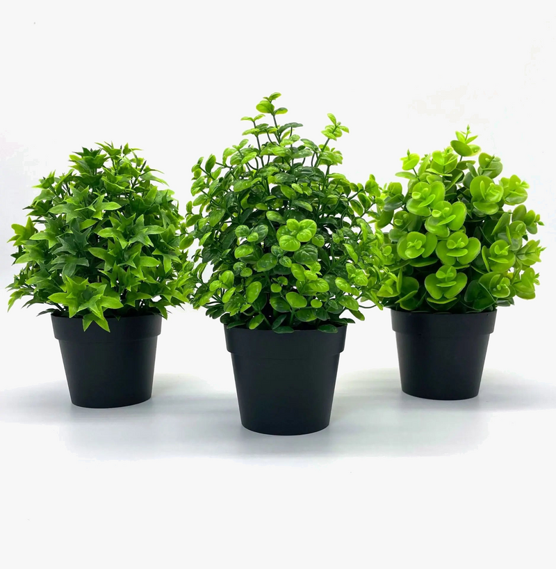 plantes-artificielles-en-pot-pour-d-coration-int-rieure-et-ext-rieure-0.png