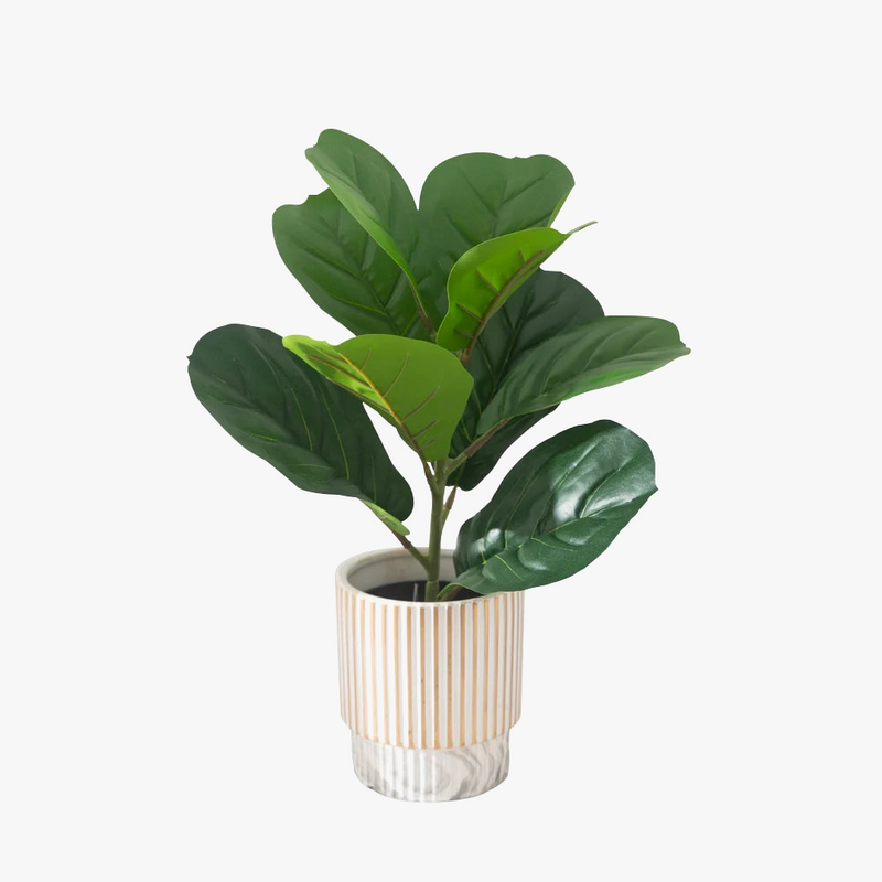 plantes-artificielles-ficus-en-plastique-pour-d-coration-int-rieure-et-ext-rieure-3.png