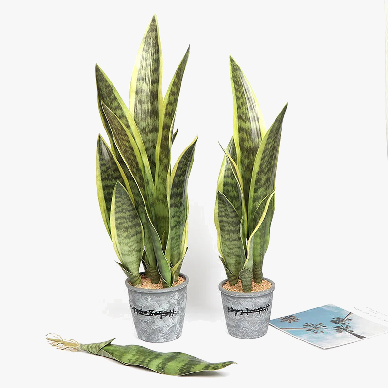 plantes-artificielles-succulentes-aloe-vera-pour-d-coration-int-rieure-ext-rieure-1.png