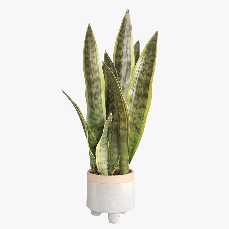 plantes-artificielles-succulentes-aloe-vera-pour-d-coration-int-rieure-ext-rieure-3.png