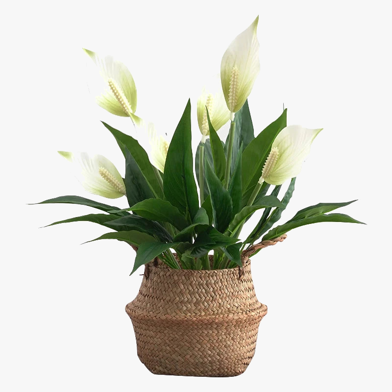 plantes-artificielles-tropicales-monstera-anthurium-pour-d-coration-int-rieure-1.png