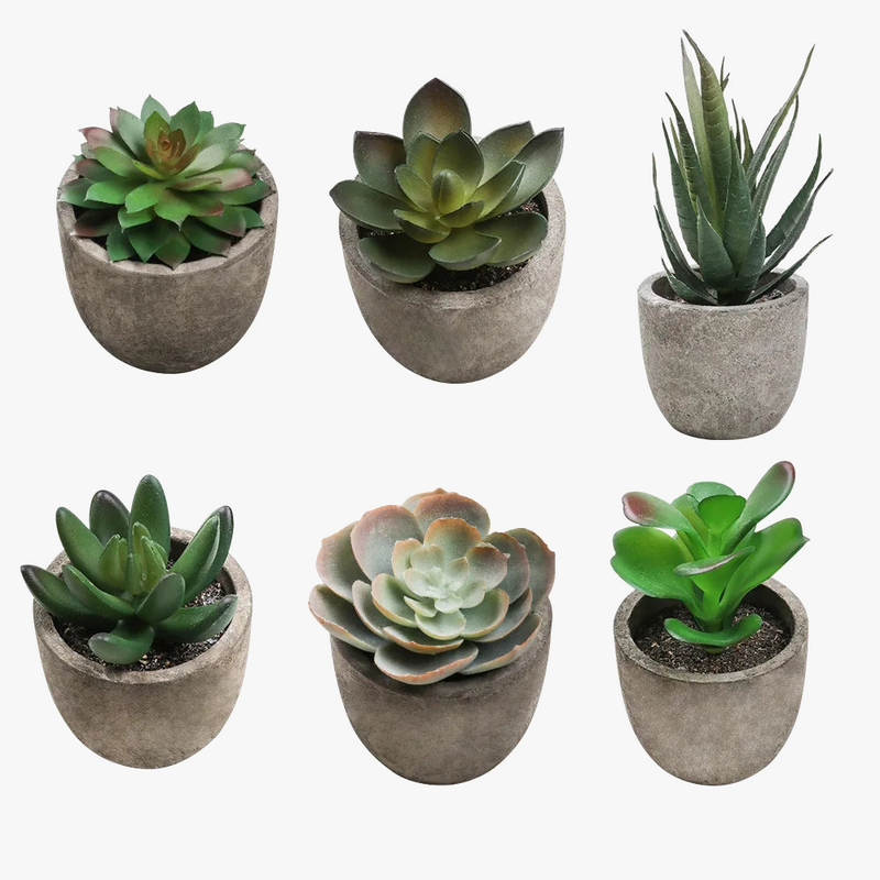 plantes-succulentes-artificielles-pour-d-coration-int-rieure-moderne-0.png