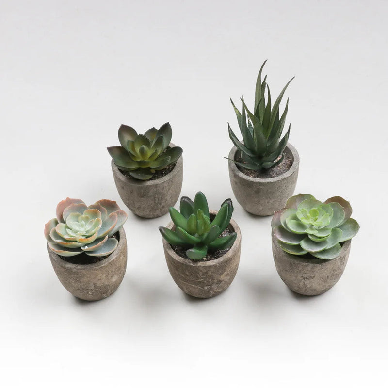 plantes-succulentes-artificielles-pour-d-coration-int-rieure-moderne-2.png