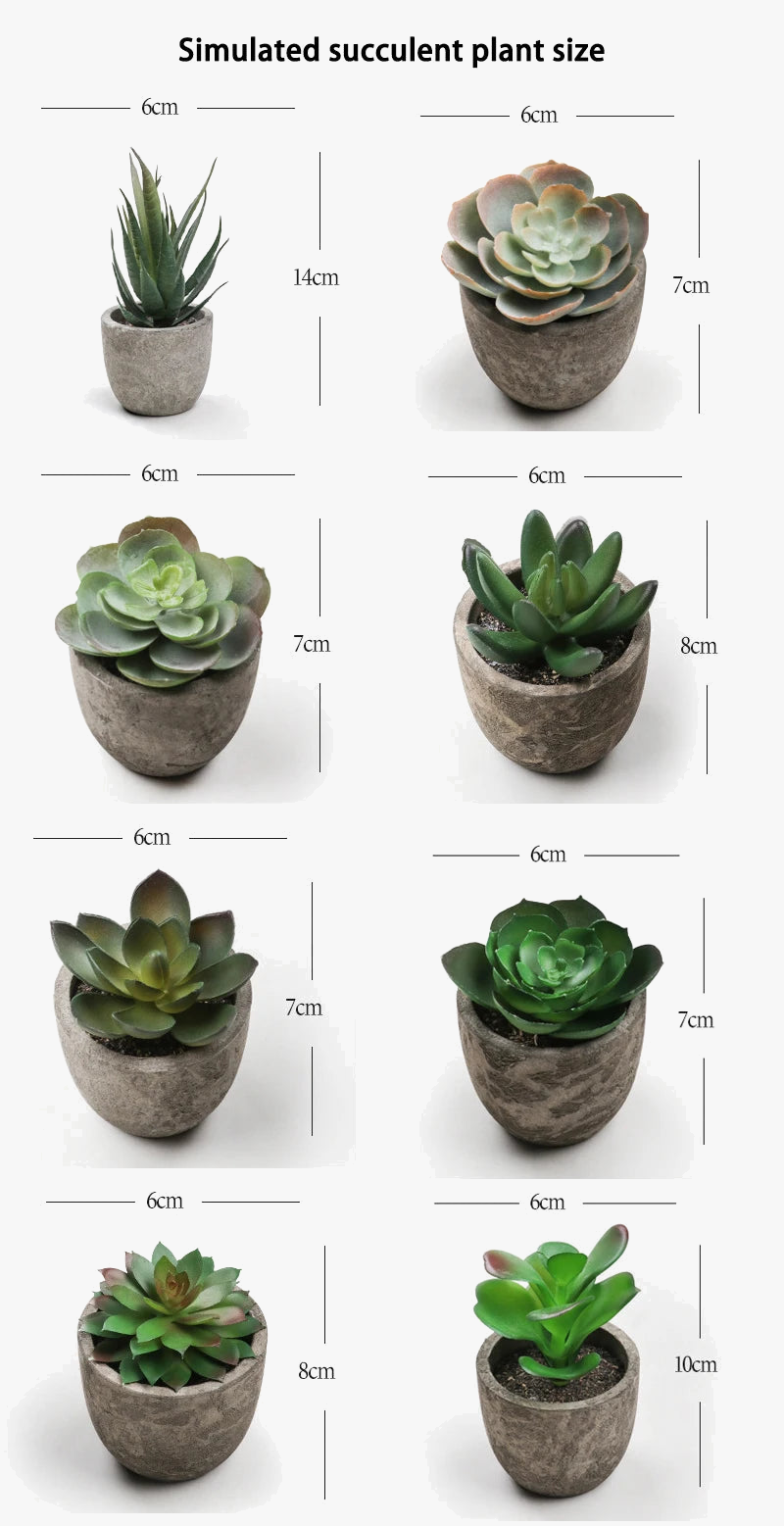 plantes-succulentes-artificielles-pour-d-coration-int-rieure-moderne-5.png