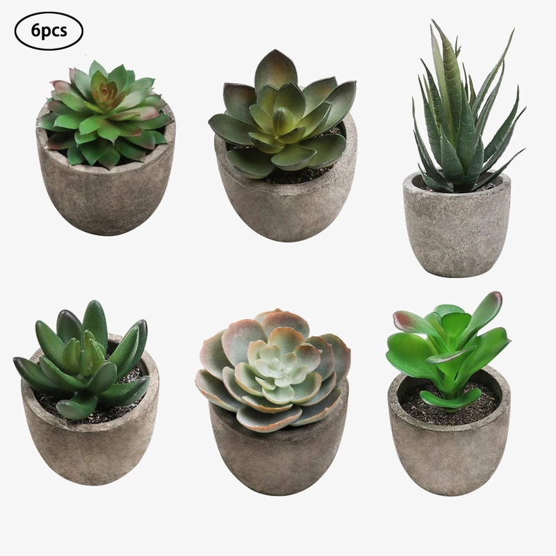 plantes-succulentes-artificielles-pour-d-coration-int-rieure-moderne-7.png