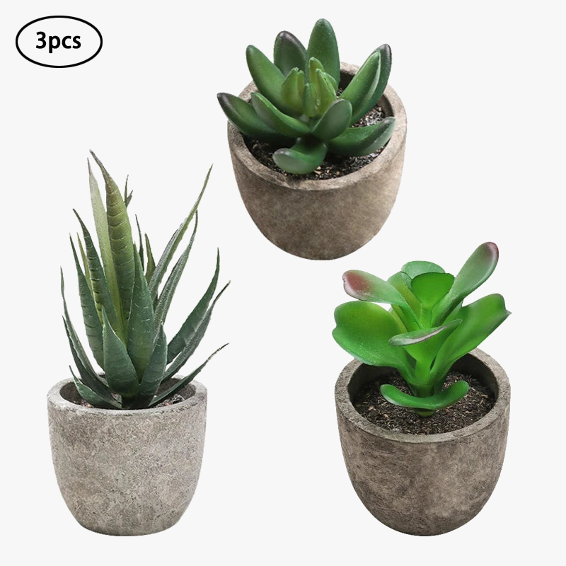 plantes-succulentes-artificielles-pour-d-coration-int-rieure-moderne-9.png