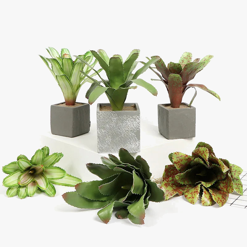 plantes-succulentes-artificielles-toucher-r-el-pour-d-coration-int-rieure-4.png