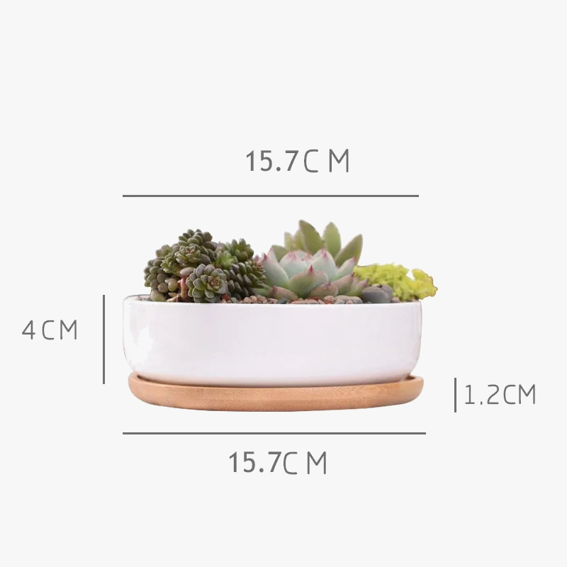 pot-en-c-ramique-pour-plantes-succulentes-avec-plateau-en-bambou-1.png