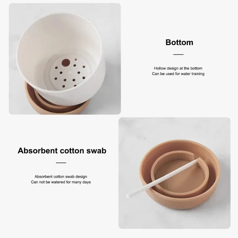 pot-rond-double-couche-pour-plantes-succulentes-3.png