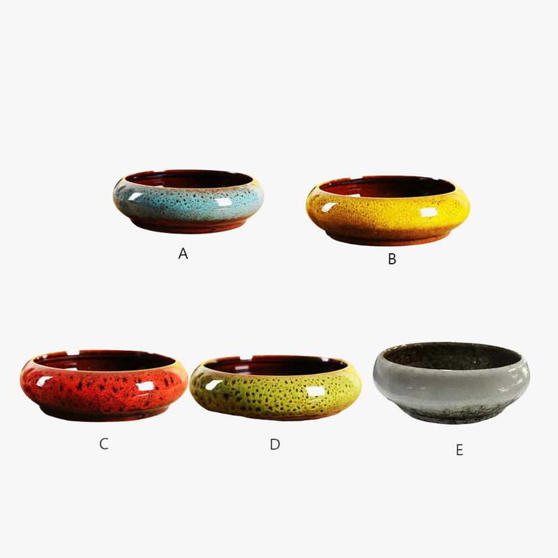 pots-hydroponiques-ronds-pour-plantes-succulentes-jardin-int-rieur-0.png