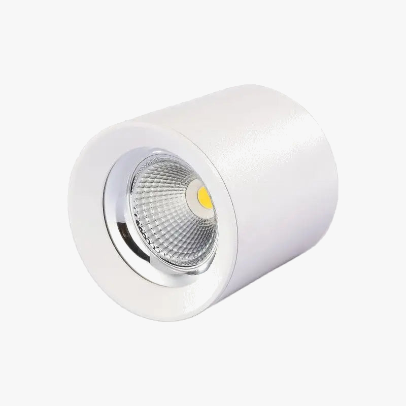 spot-led-dimmable-pour-clairage-int-rieur-design-moderne-2.png