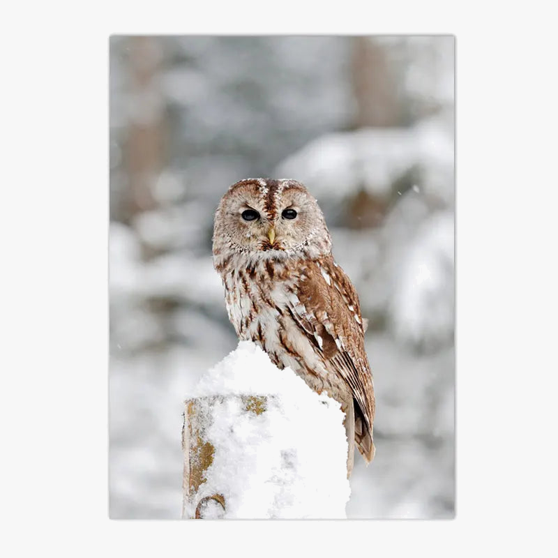 toile-murale-d-corative-renard-hibou-cerf-hiver-for-t-neige-6.png